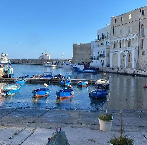 Dream House Monopoli